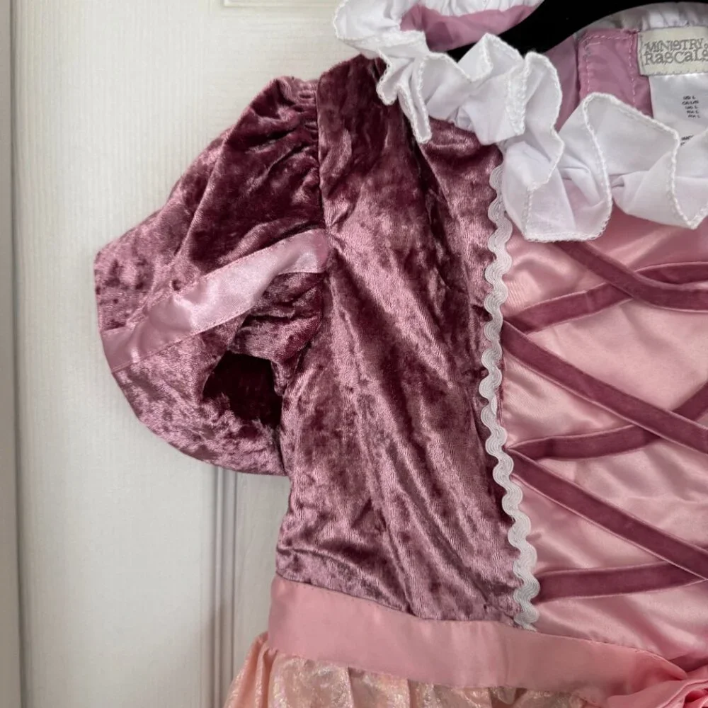 EUC Ministry of Rascals Pet Princess Dog Costume, Pink Dress with Tiara, Large